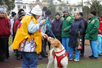 Уроки доверия с Няшей и ее хозяйкой
