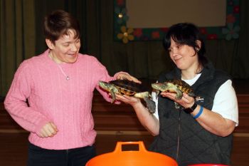 Черепашьи секреты: что жители узнали на встрече зооклуба?