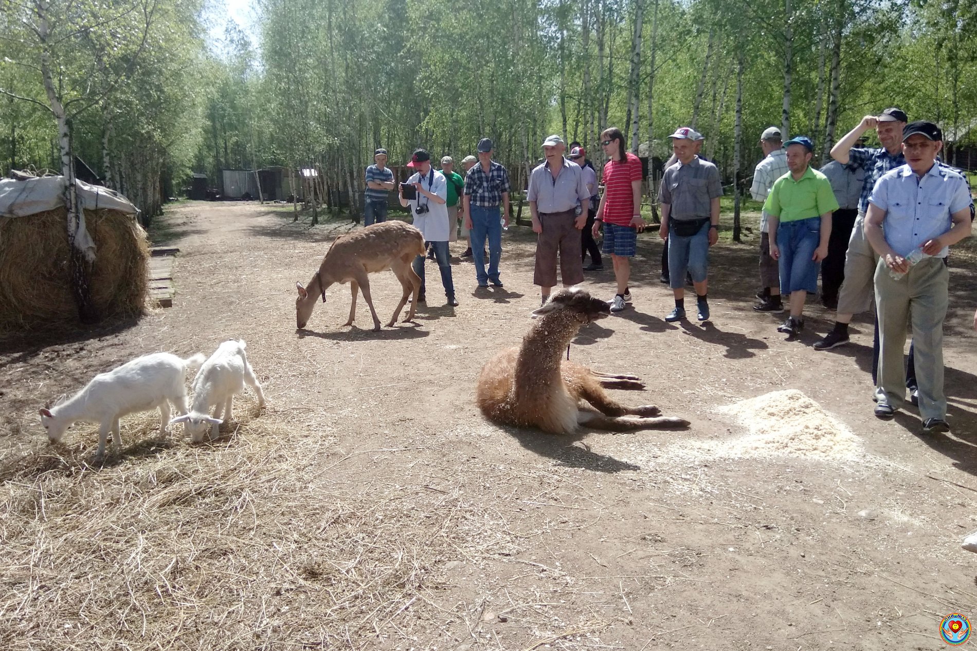 В мире живой природы » ГБУ Социальный дом 